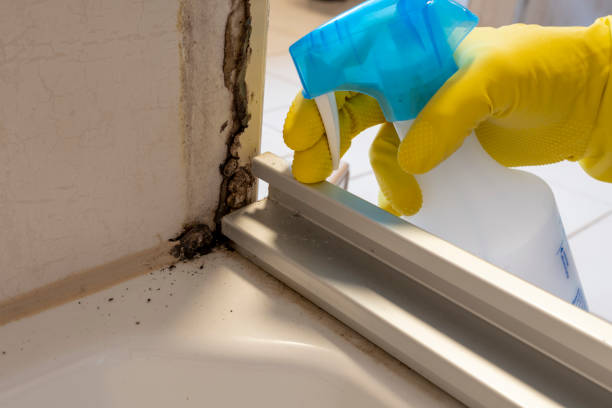 Garfield, TX Mold Remediation Company