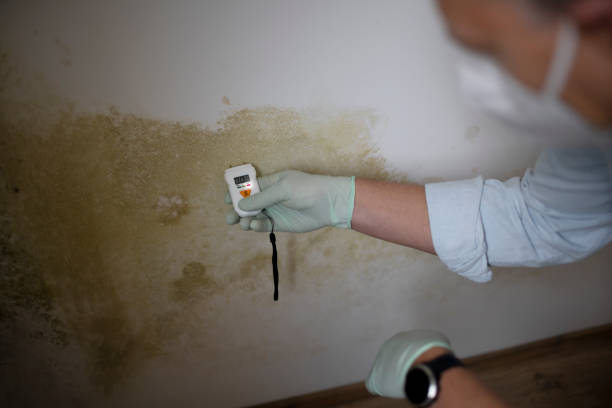 Best Mold Testing and Inspection Services in Garfield, TX