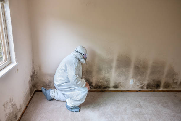 Best HVAC Mold Remediation in Garfield, TX